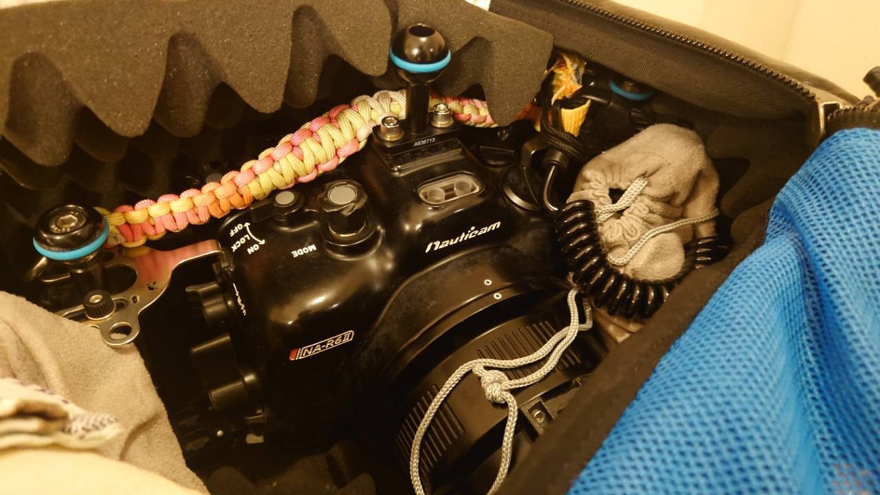 ノーティカムのハウジングと周囲の緩衝材