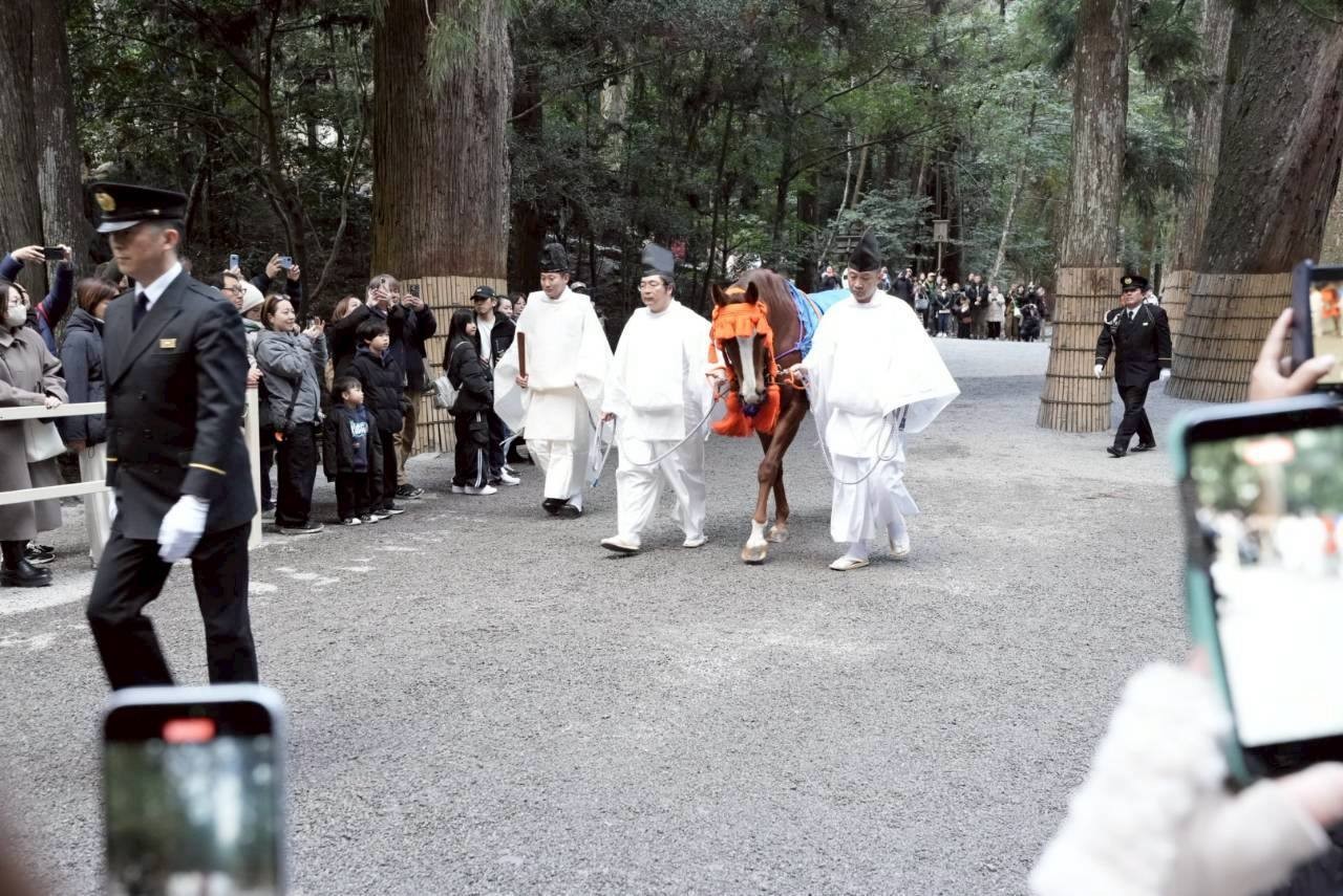 伊勢神宮の参道を進む神馬