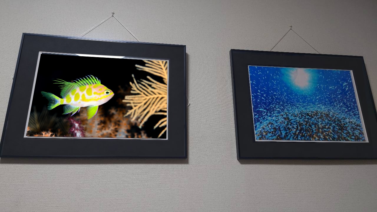 マダラハナダイと魚群の水中写真を、黒い額に入れて壁に飾った様子