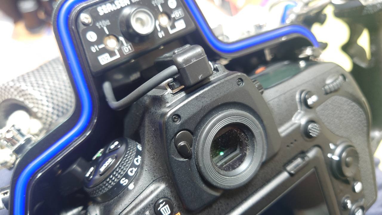 ハウジング内のNikon D850に取り付けたホットシューの接続部